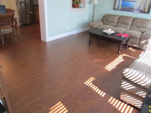 Floor Replacement